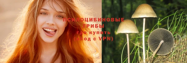 ГАЛЛЮЦИНОГЕННЫЕ ГРИБЫ Белокуриха