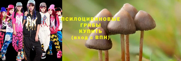 ГАЛЛЮЦИНОГЕННЫЕ ГРИБЫ Белокуриха