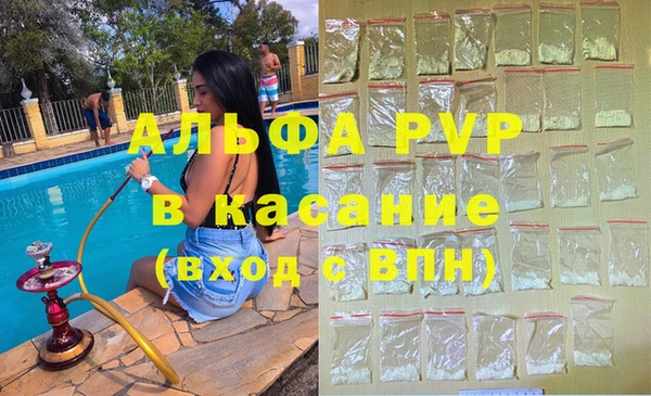 ГАЛЛЮЦИНОГЕННЫЕ ГРИБЫ Белокуриха