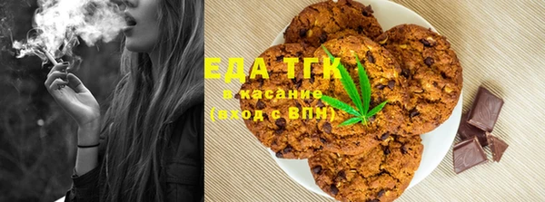 ГАЛЛЮЦИНОГЕННЫЕ ГРИБЫ Белокуриха