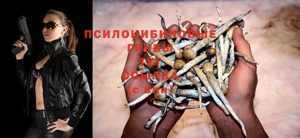 герыч Пестово