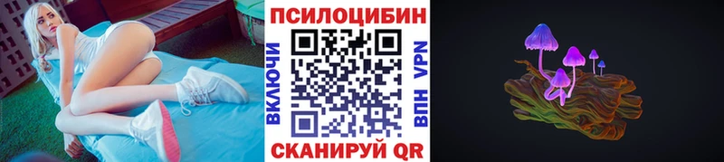 Псилоцибиновые грибы Psilocybine cubensis  Новоалтайск 